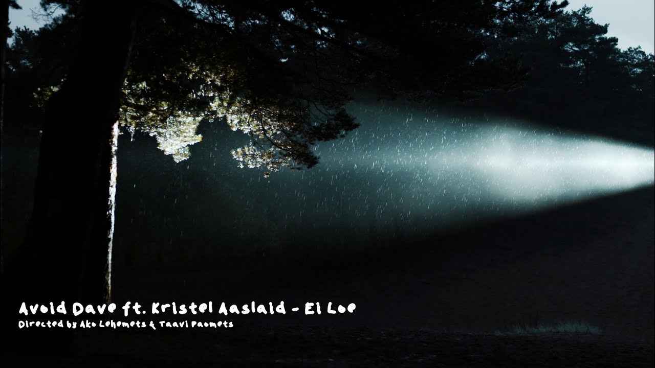 Avoid Dave ft. Kristel Aaslaid - Ei Loe