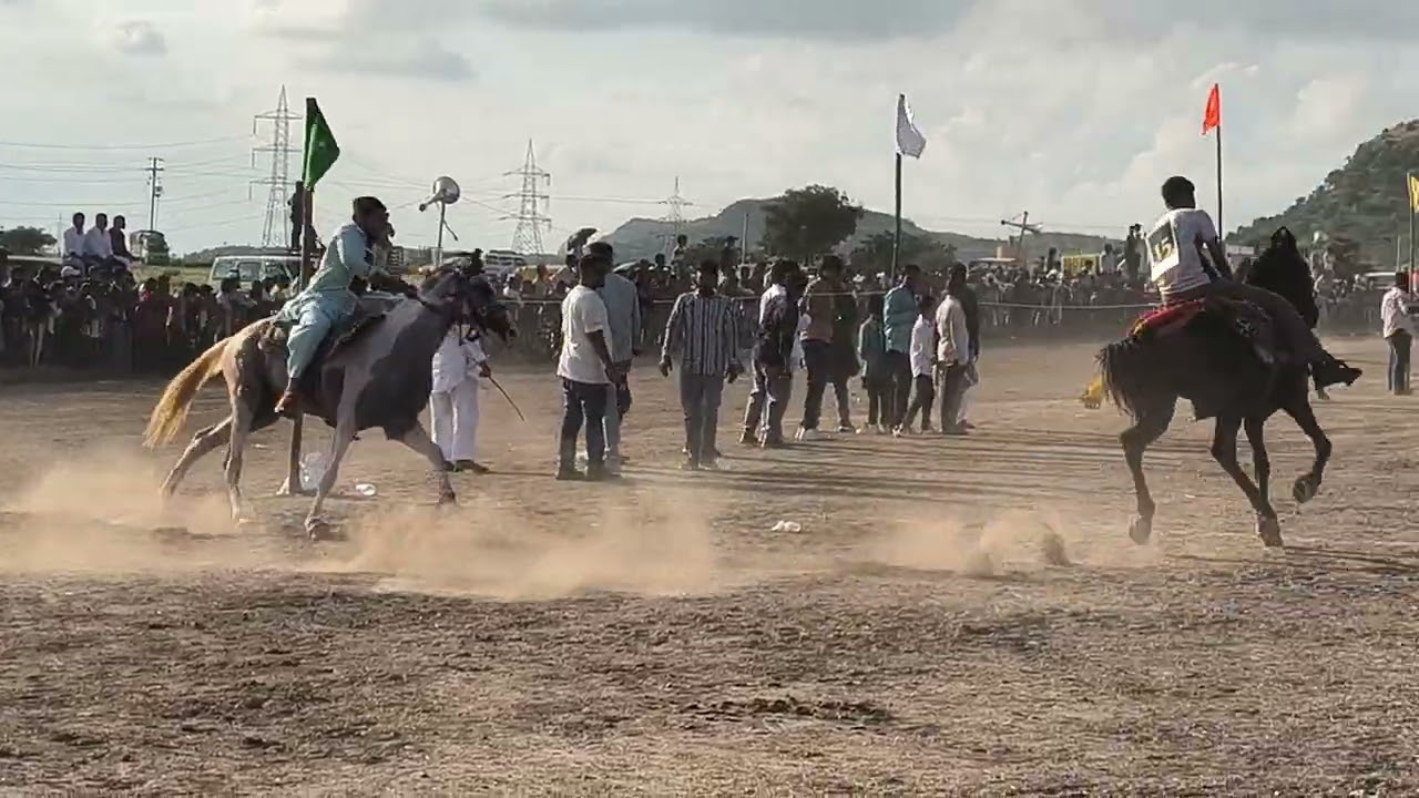 Horse Event 5th Oct 2025 Aurangabad final round ( part 1)