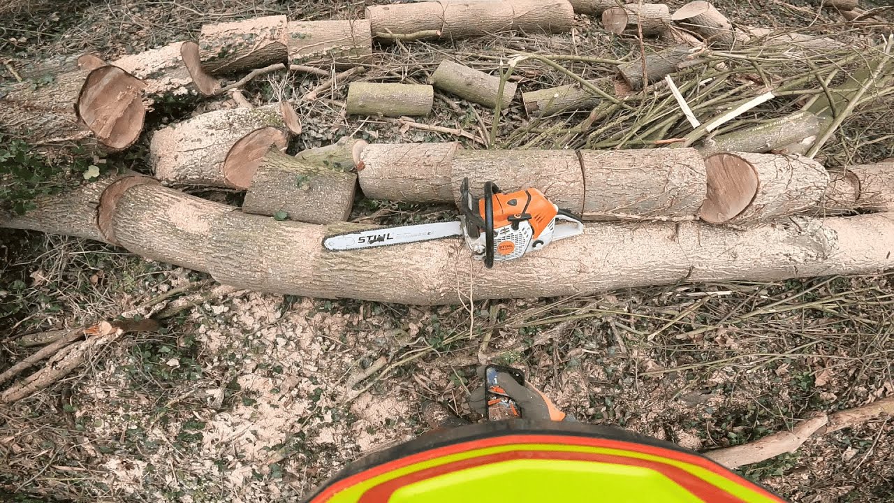 Stihl ms500i | Bois de chauffage | Façonnage de frênes sec