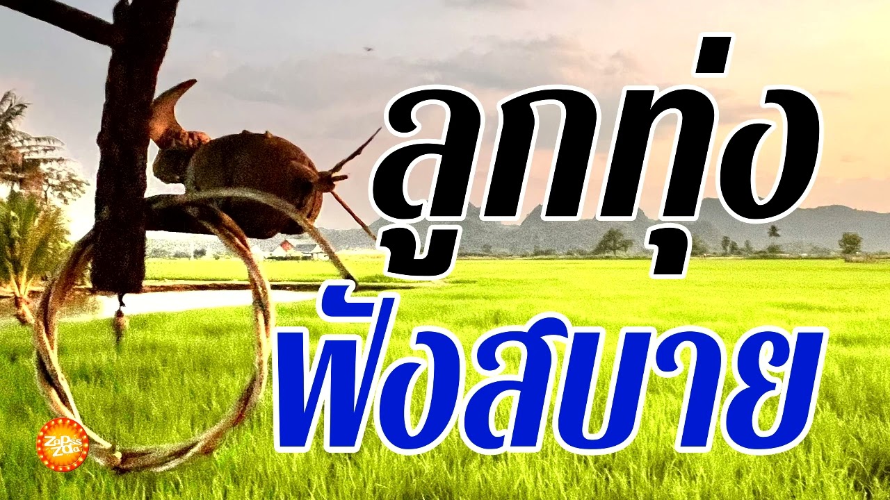 เพลงลูกทุ่งฟังสบาย รวมเพลงเพราะฟังแบบต่อเนื่อง
