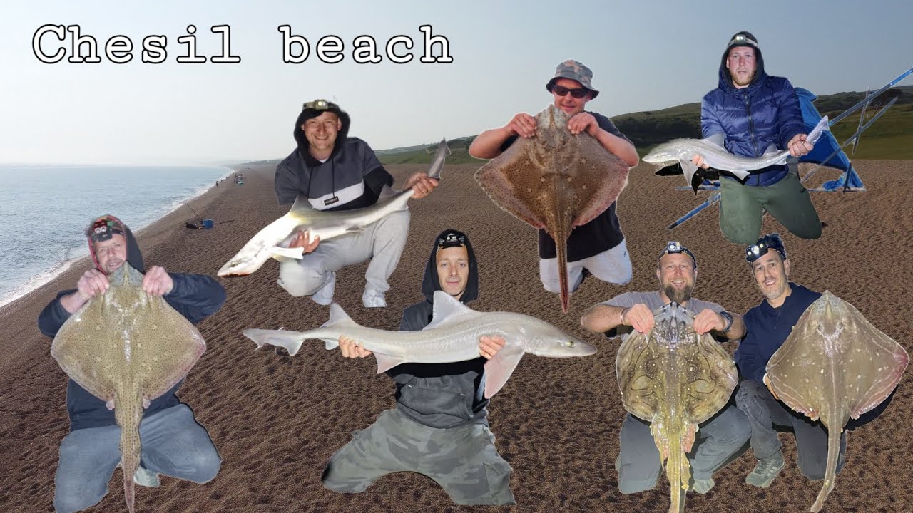 Fishing the mighty Chesil beach, UK 🇬🇧 beach fishing, road trip #Abbotsbury