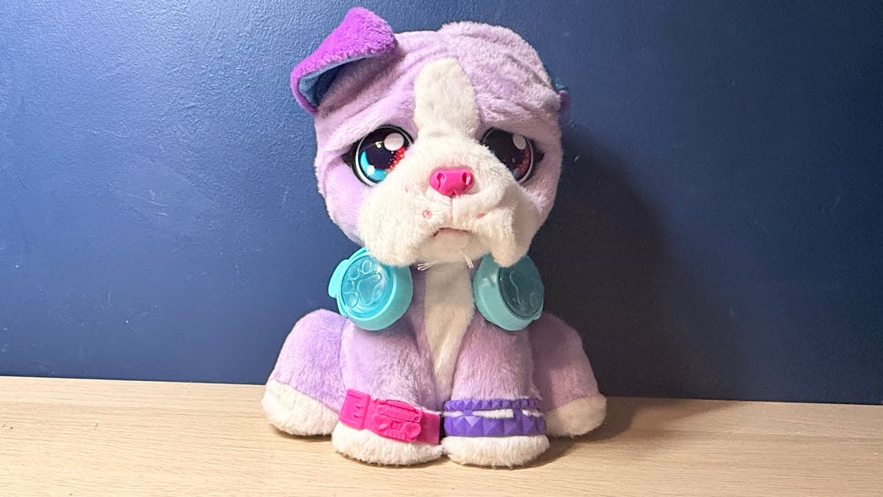 Vtech DJ Beat Boxer Pet Pup Mix 