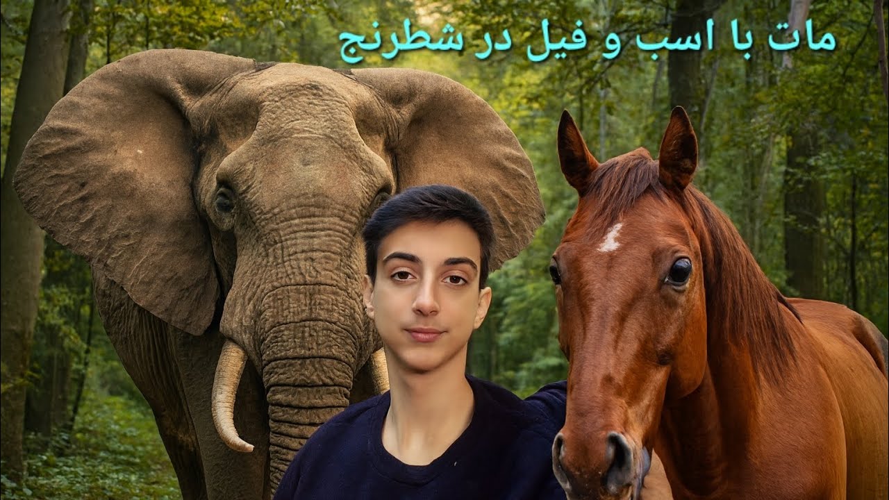 مات با اسب و فیل در شطرنج