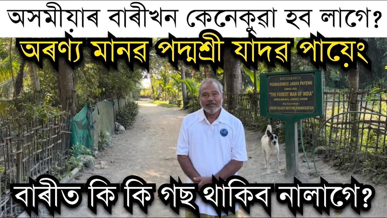 বাৰীখন কেনেকুৱা হব লাগে? কি কি গছ থাকিব লাগে?Forestman Padmashree Jadav Payeng।Forest man of India ॥