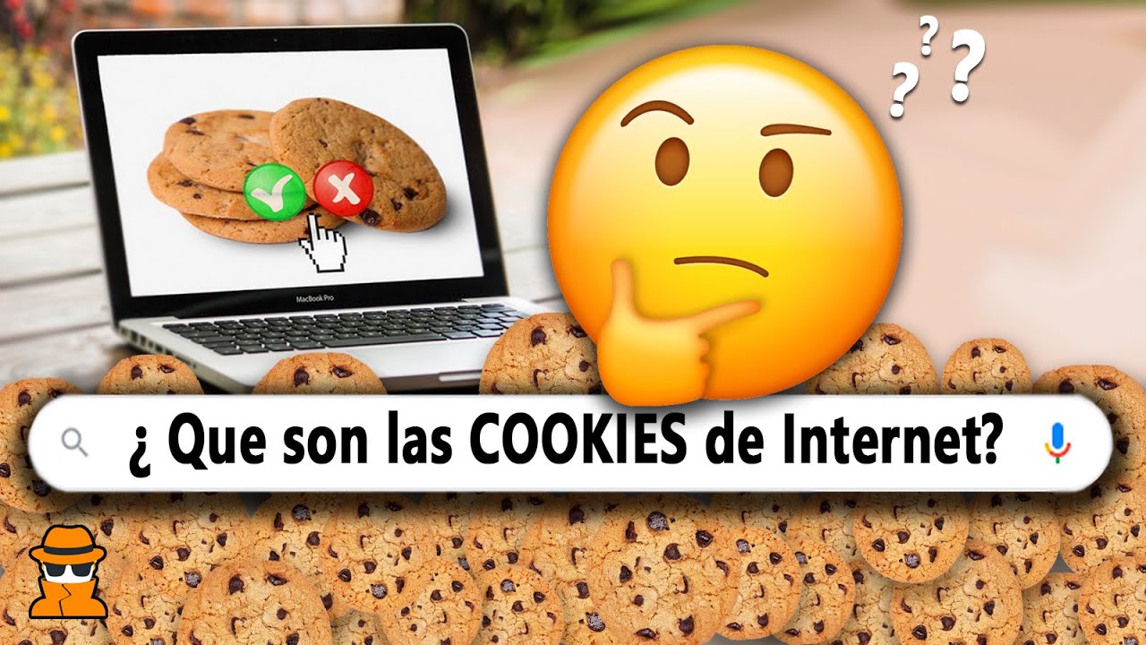 20 Preguntas Curiosas que No Sab&iacute;as en 10 Minutos #14