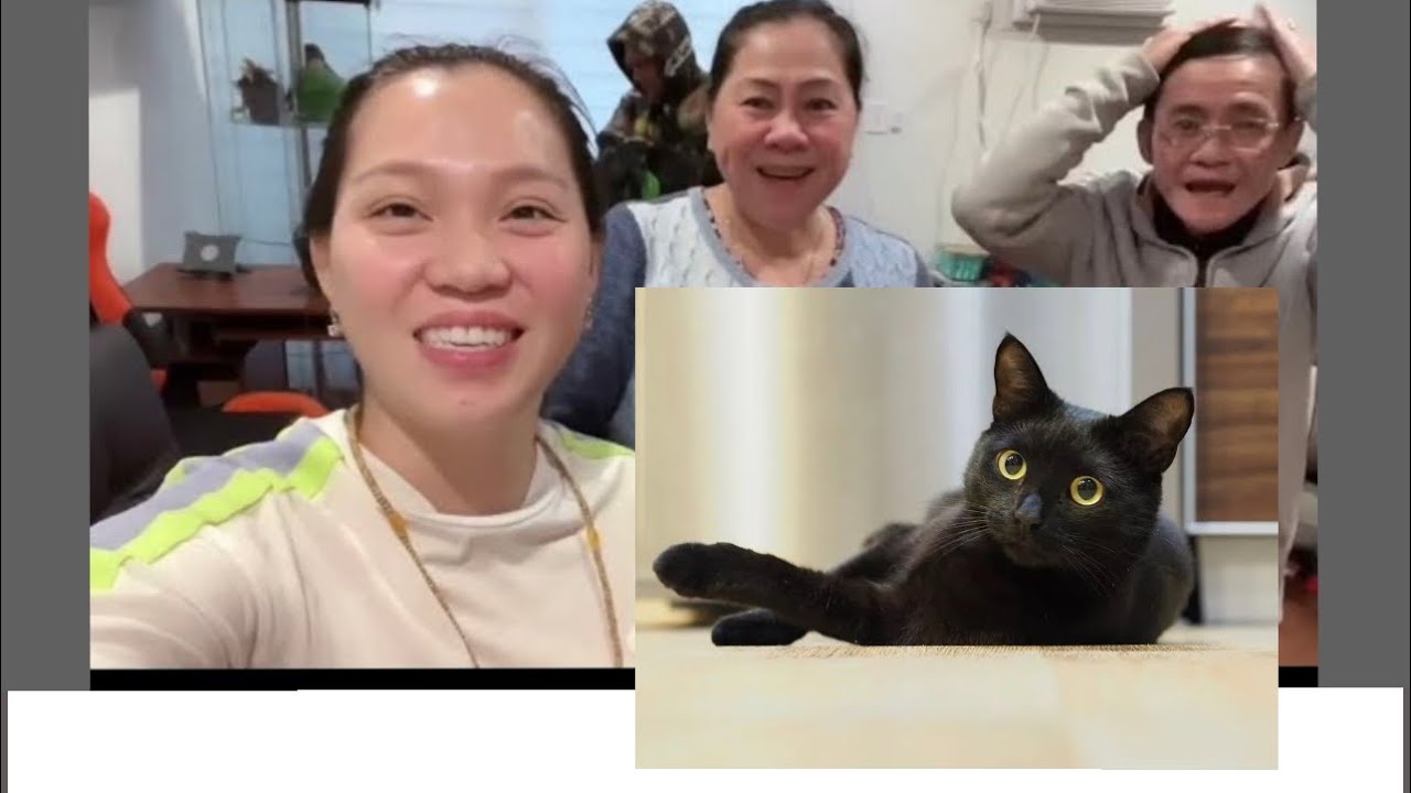 Vlog 1585 ll CẢ NHÀ VỀ LẠI FLORIDA-CHÚ MÈO LUCKY LẦN ĐẦU ĐI MÁY BAY