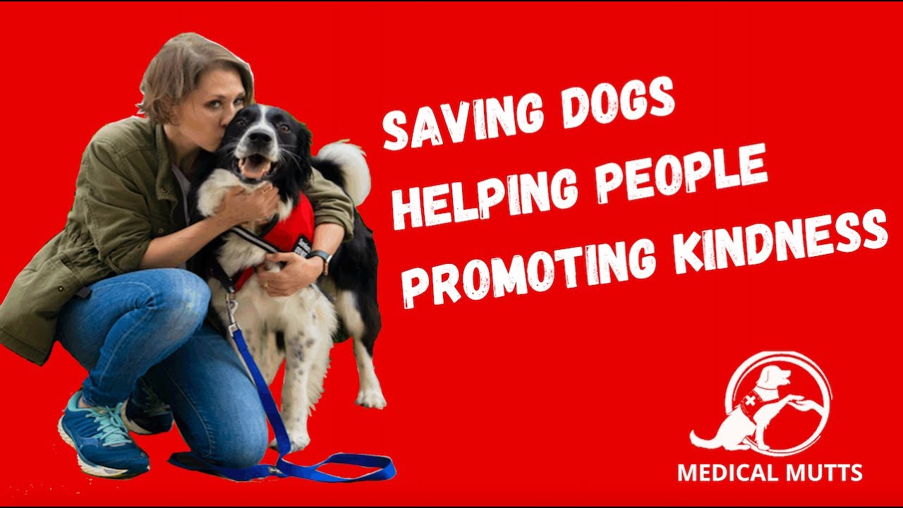 Medical Mutts Service Dogs