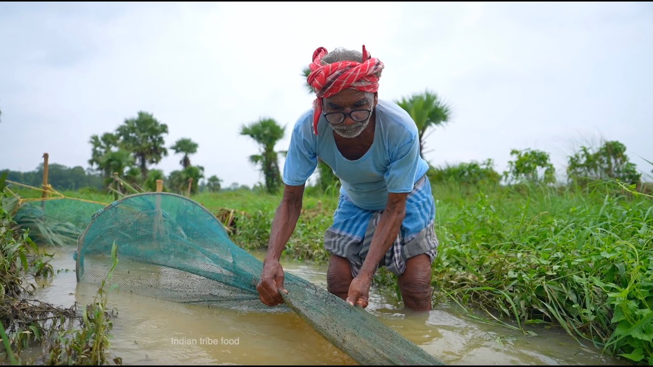 Flooding water fishing | how my grandfather catching fish and cooking fish curry | net fishing