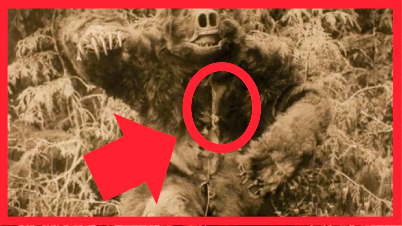 🐻👩🏾Rarest Native American Photos📸🎞️