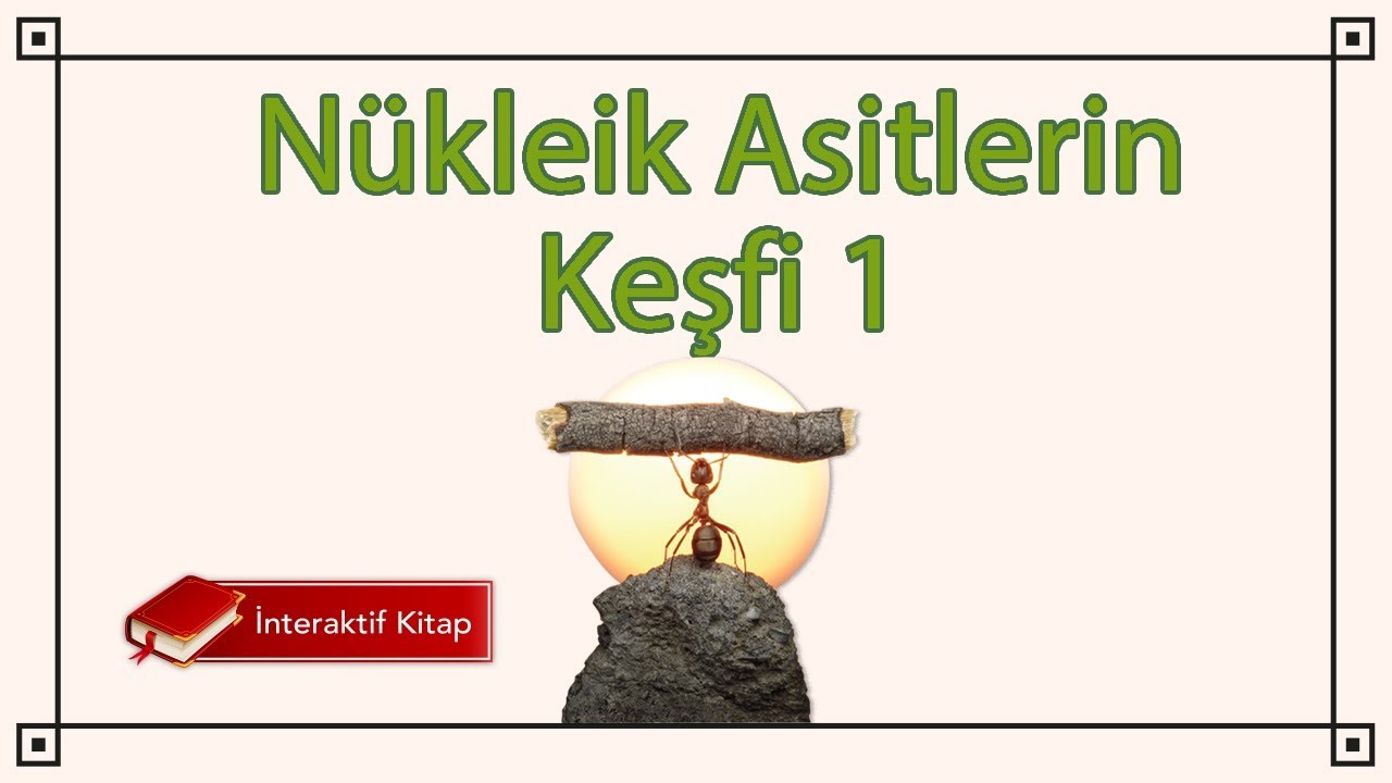 AYT Biyoloji | Nükleik Asitlerin Keşfi 1#sayfa130