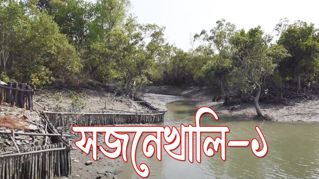 sajnekhali sundarban.sajnekhali tour.sajnekhali park. সজনেখালি #sundarbankarcha