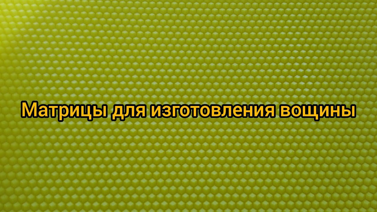 Отзыв из Белгородской области #Своявощина #Матрицадлявощины #ЖивойСот