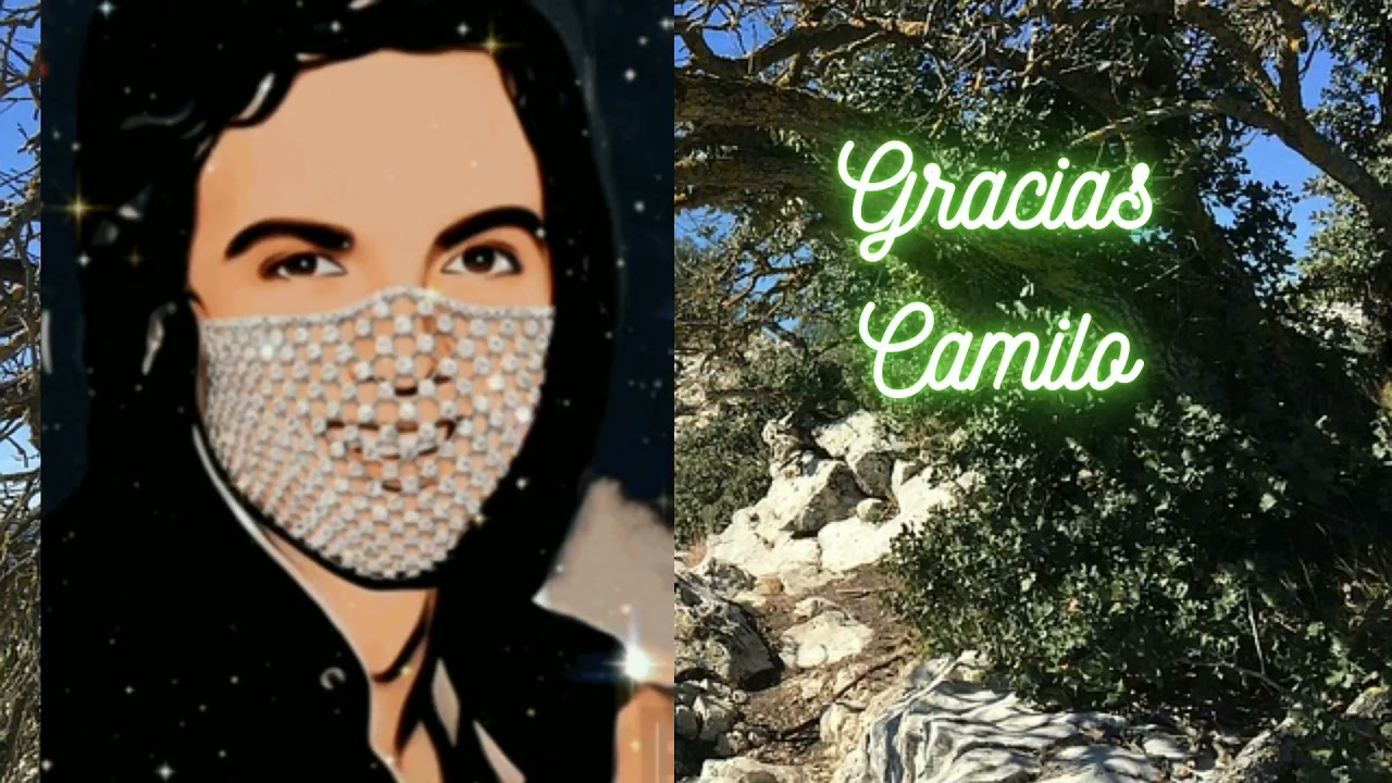 Gracias Camilo Sesto