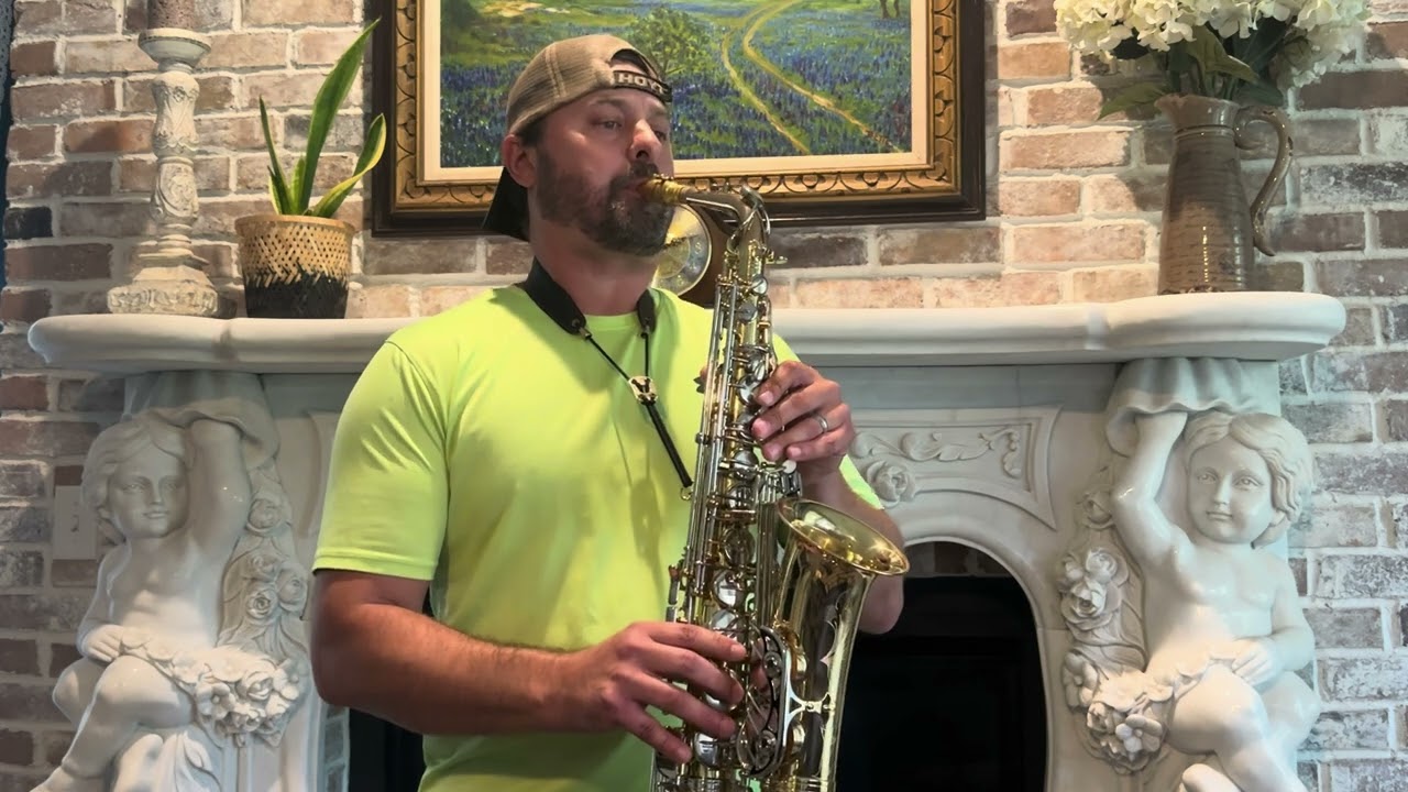 Johnny B. Goode - Chuck Berry - alto saxophone cover (Tim Dahlstrom)