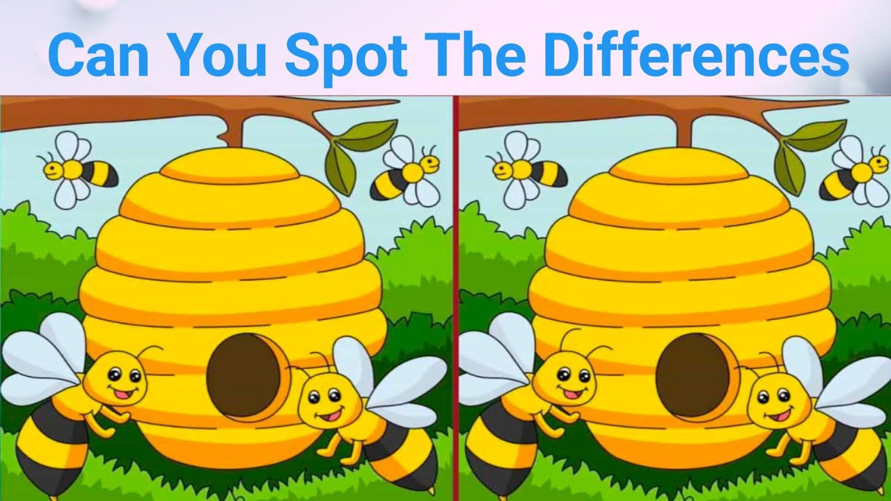 Can You Spot The Differences || Kids Popular Quiz ||