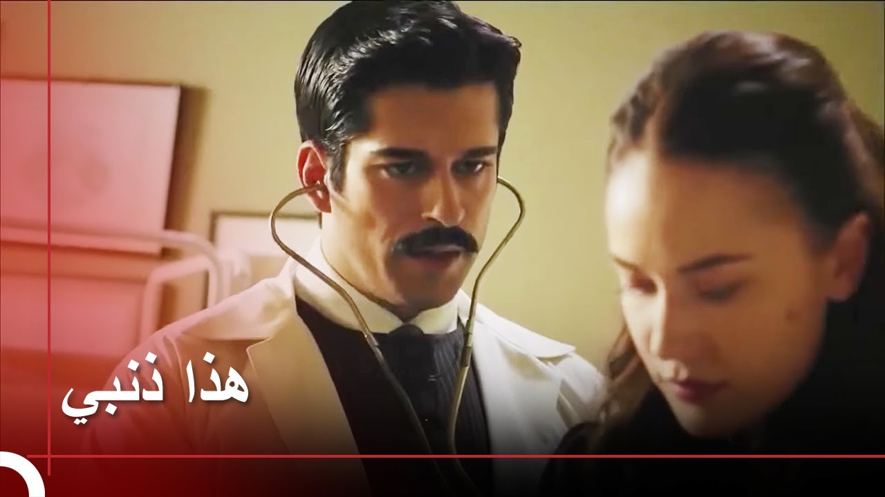 كامل يوبخ فريدة | طائر النمنمة