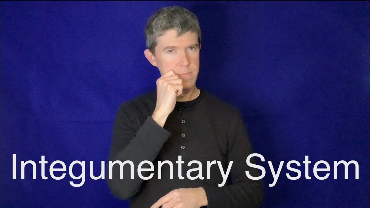 Integumentary System (ASL)
