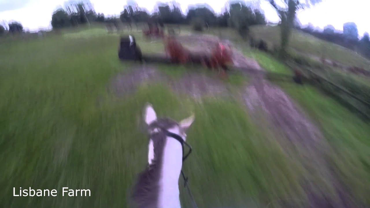 Jump Cross At Lisbane Farm - Harriet Pelé