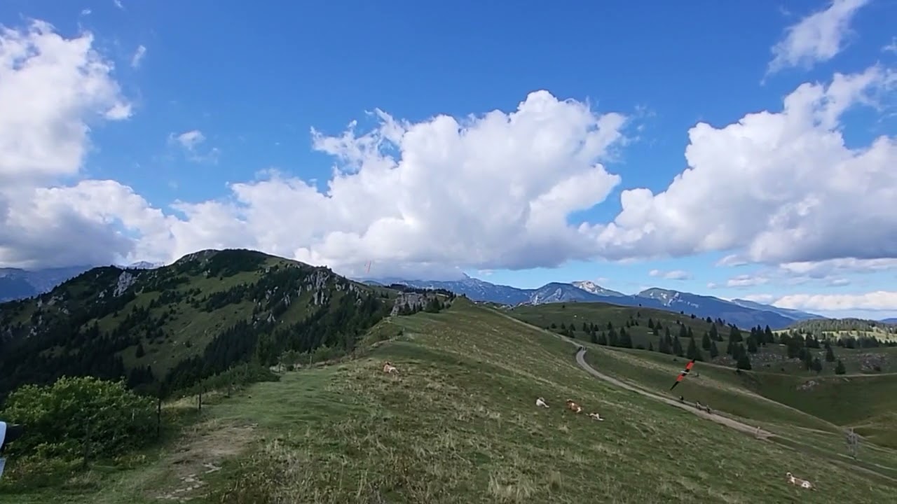 Double DS with CCM Libertoy 