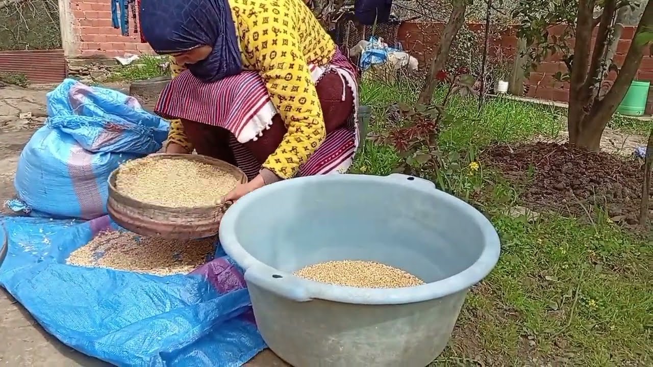 حياة أهل الريف في المغرب: صبر وابتسامة رغم المعاناة | Life in the Rif Morocco