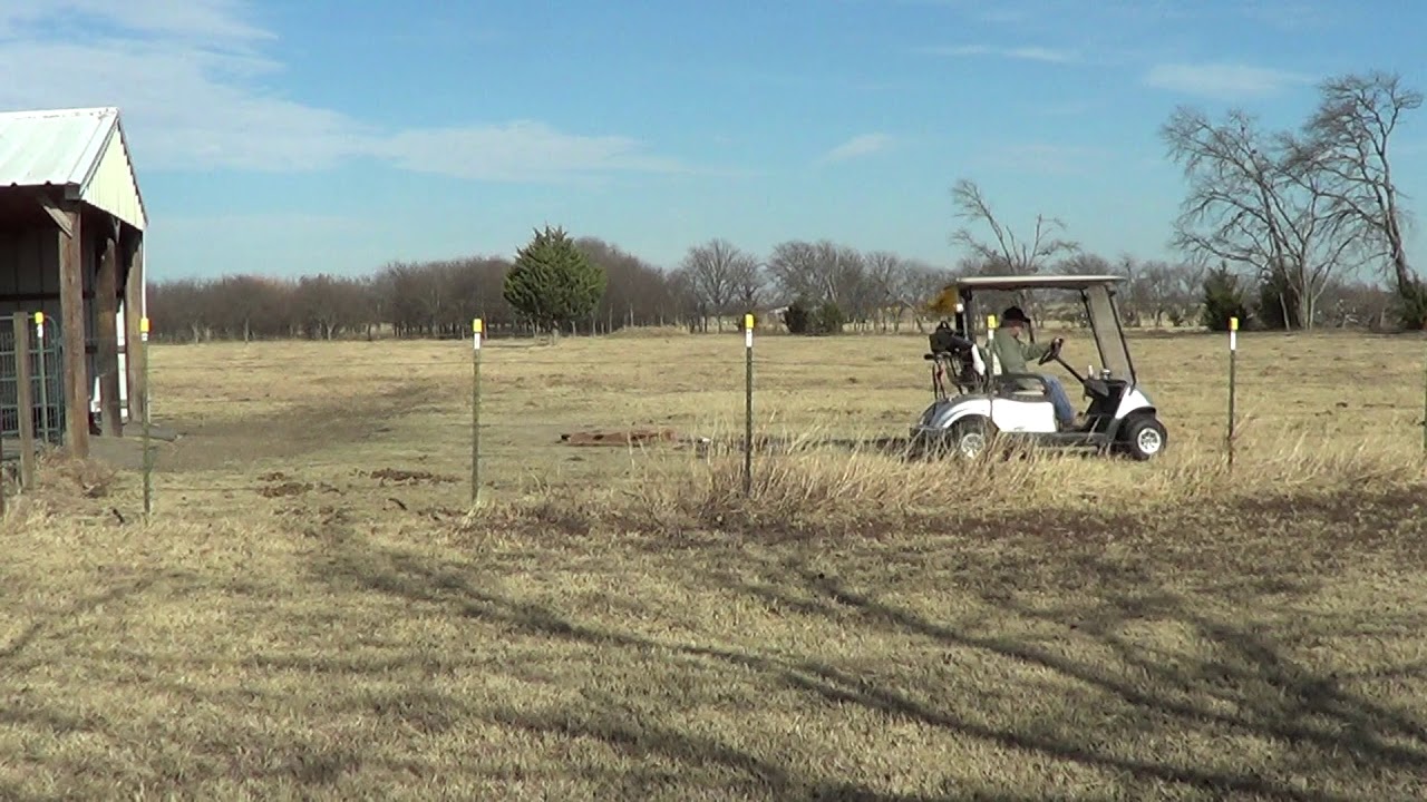 Horse Pasture Clean Up and Care - Keeping the Poop Piles Down