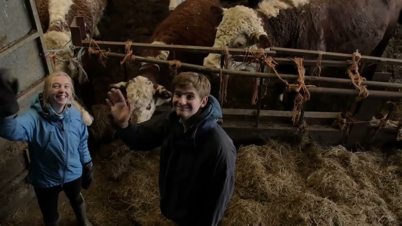 WWOOF UK: Ready For An Adventure?