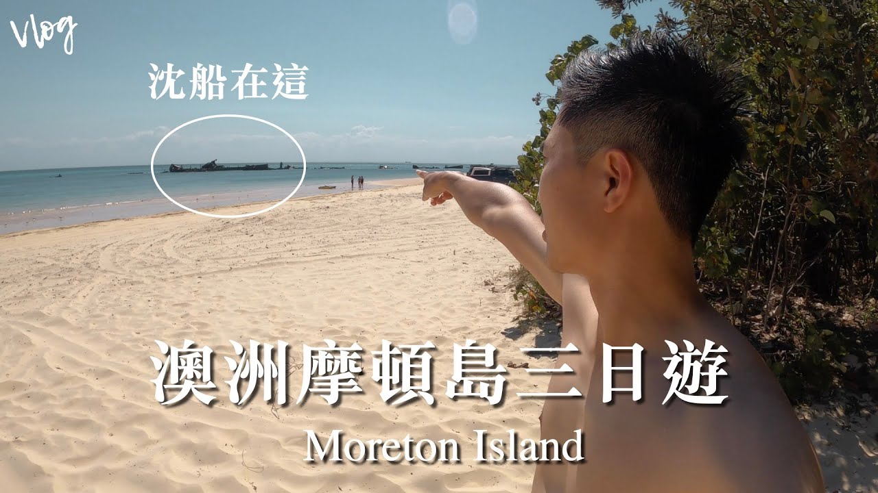 【WeiVLOG】親手餵野生海豚🐬｜澳洲摩頓島三日遊
