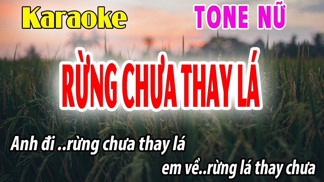 Rừng Chưa Thay Lá Tone Nữ Karaoke Nhạc Sống | Fm | Phối Mới Dễ Hát| Đời Sống Và Âm Nhạc