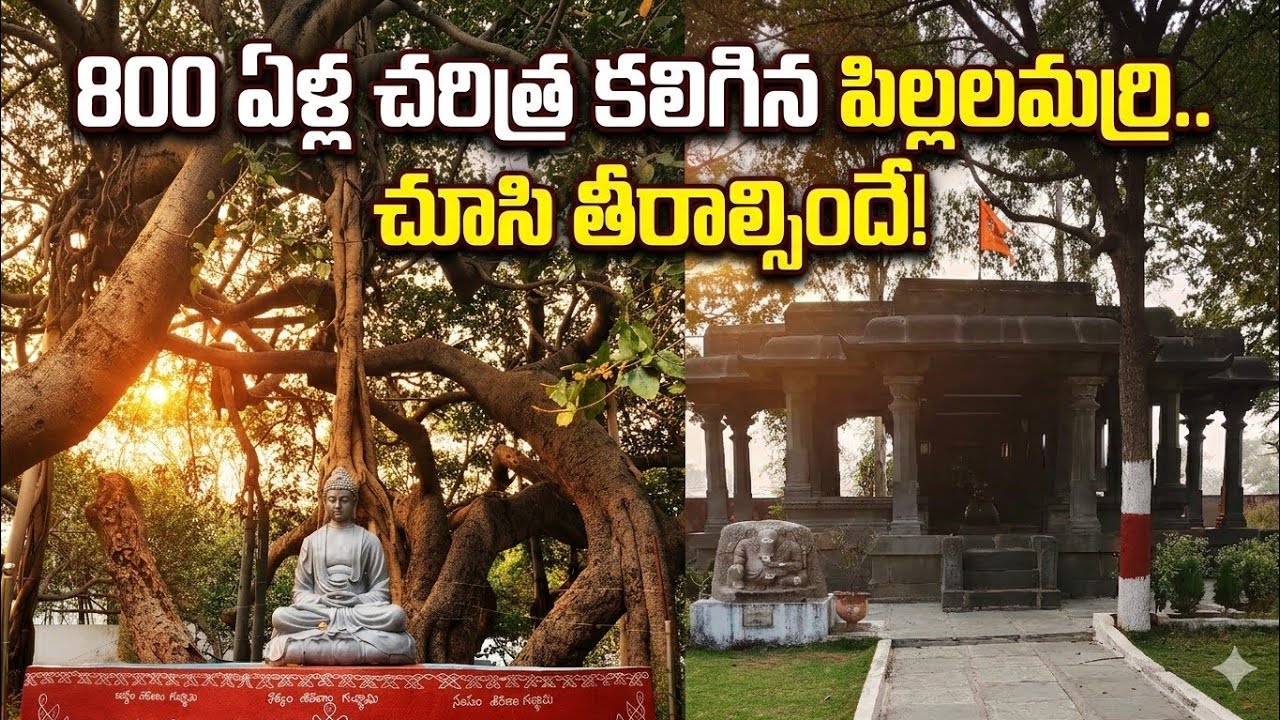 Exploring the history of pillalamarri//800 years old Banyan tree//Mahabubnagar//Telangana 