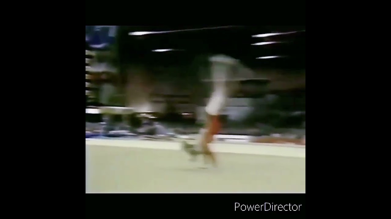 ELENA MUKHINA SALTO MORTAL TRIPLE GIRO