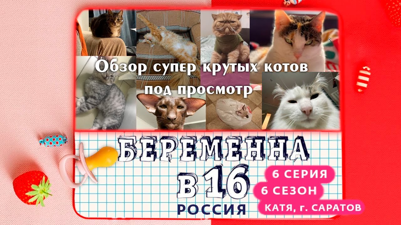 Давг и ко смотрят - Беременна в 16 (6 Сезон, 6 Выпуск) и обозревают котов