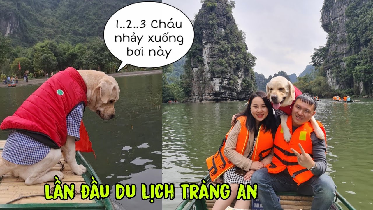 Lần đầu du lịch Tràng An, Cà Rốt nhảy xuống hồ bắt cá kìa