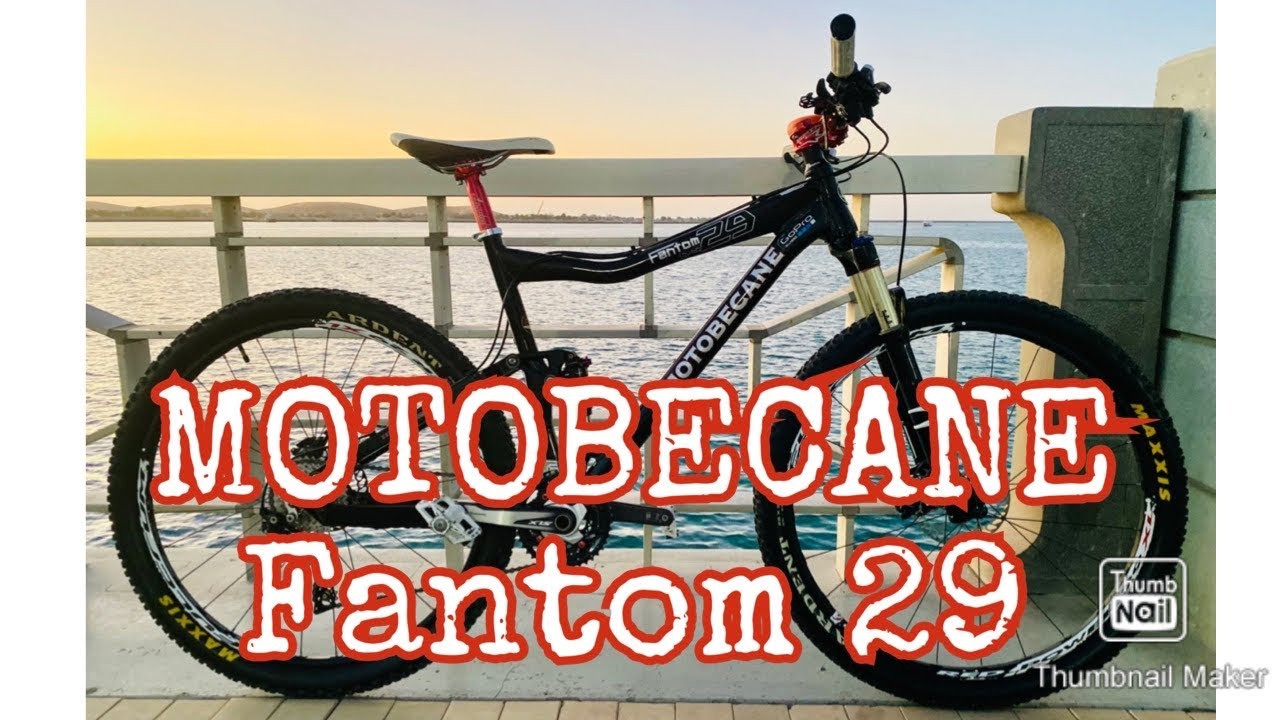Motobecane Fantom 29er