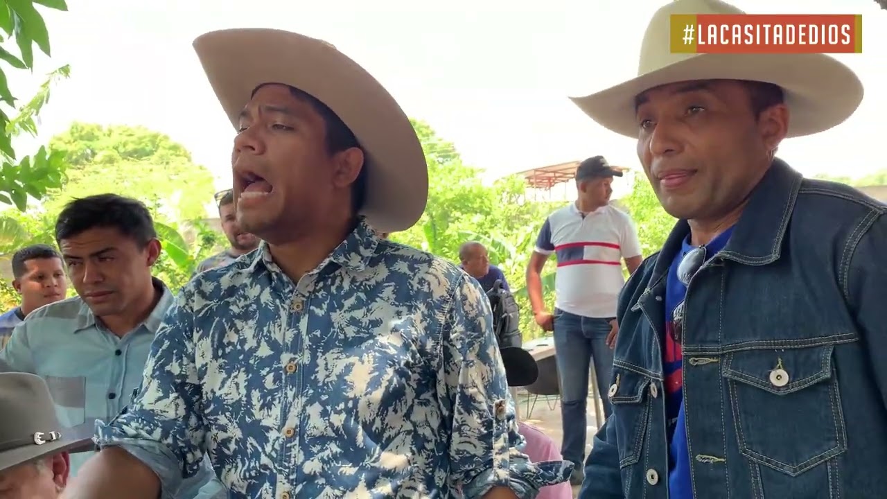 MATATIGRE VS TARRAYAZO