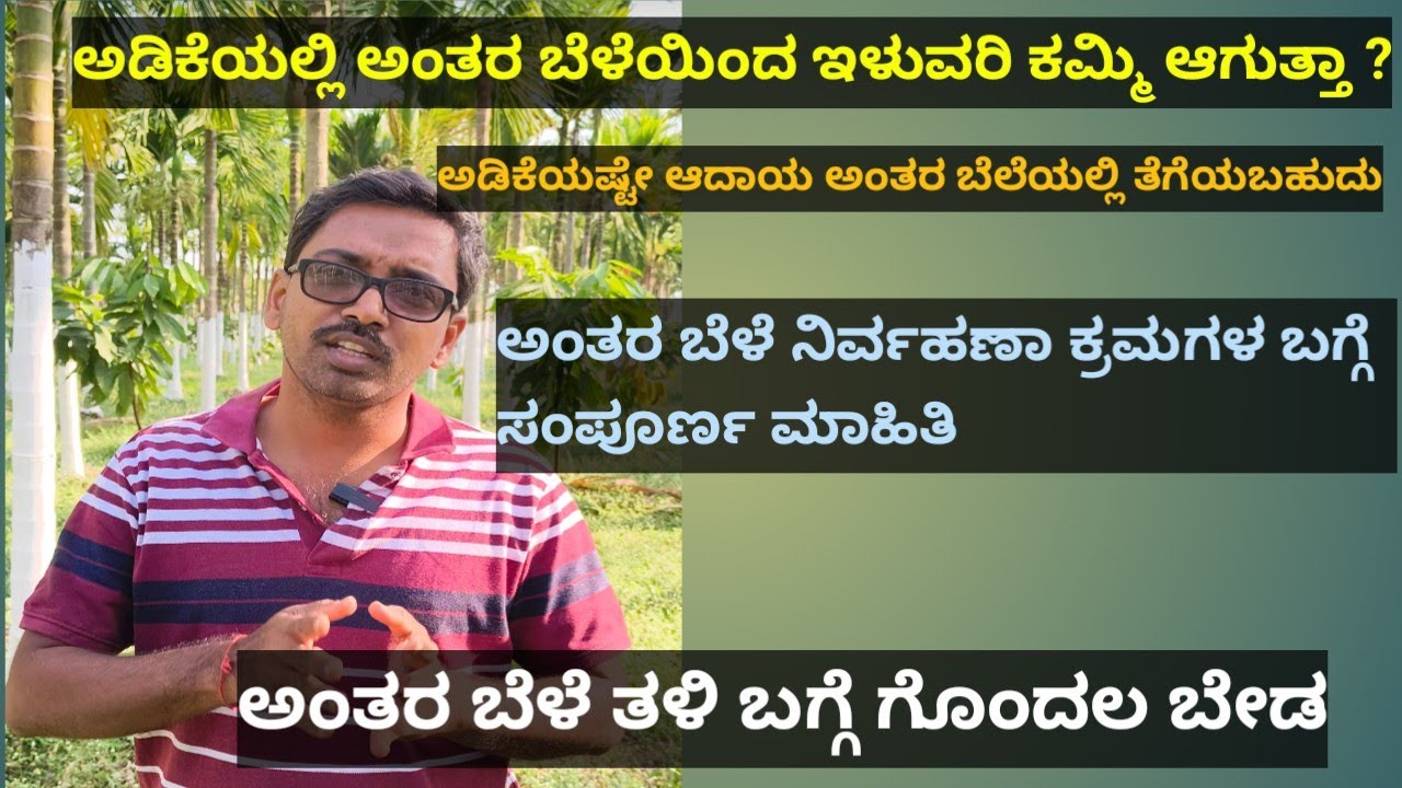 ಅಡಿಕೆಯಲ್ಲಿ ಅಂತರ ಬೆಳೆಯಿಂದ ದುಪ್ಪಟ್ಟು ಲಾಭ ,ಅಂತರ ಬೆಳೆ ತಳಿ ಆಯ್ಕೆ ಬಗ್ಗೆ ಸಂಪೂರ್ಣ ಮಾಹಿತಿ#arecanut #intercrop