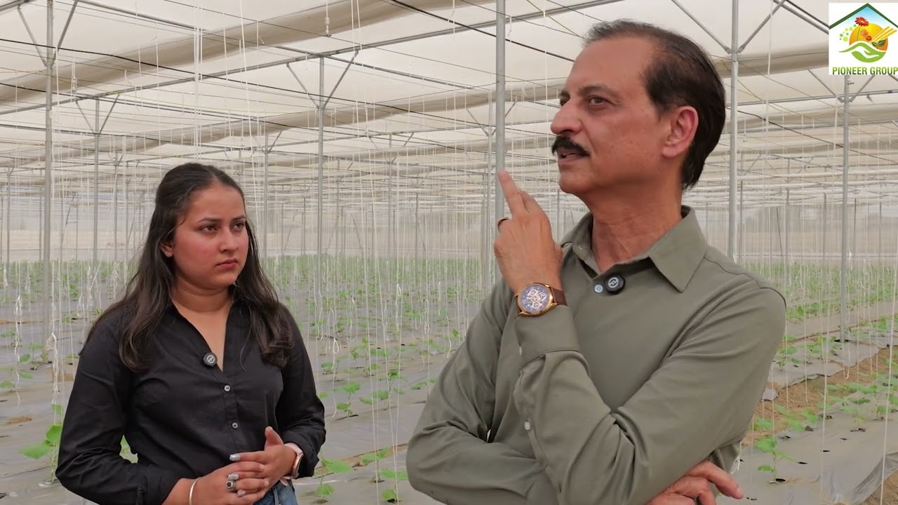 Poly House/Net House benefits