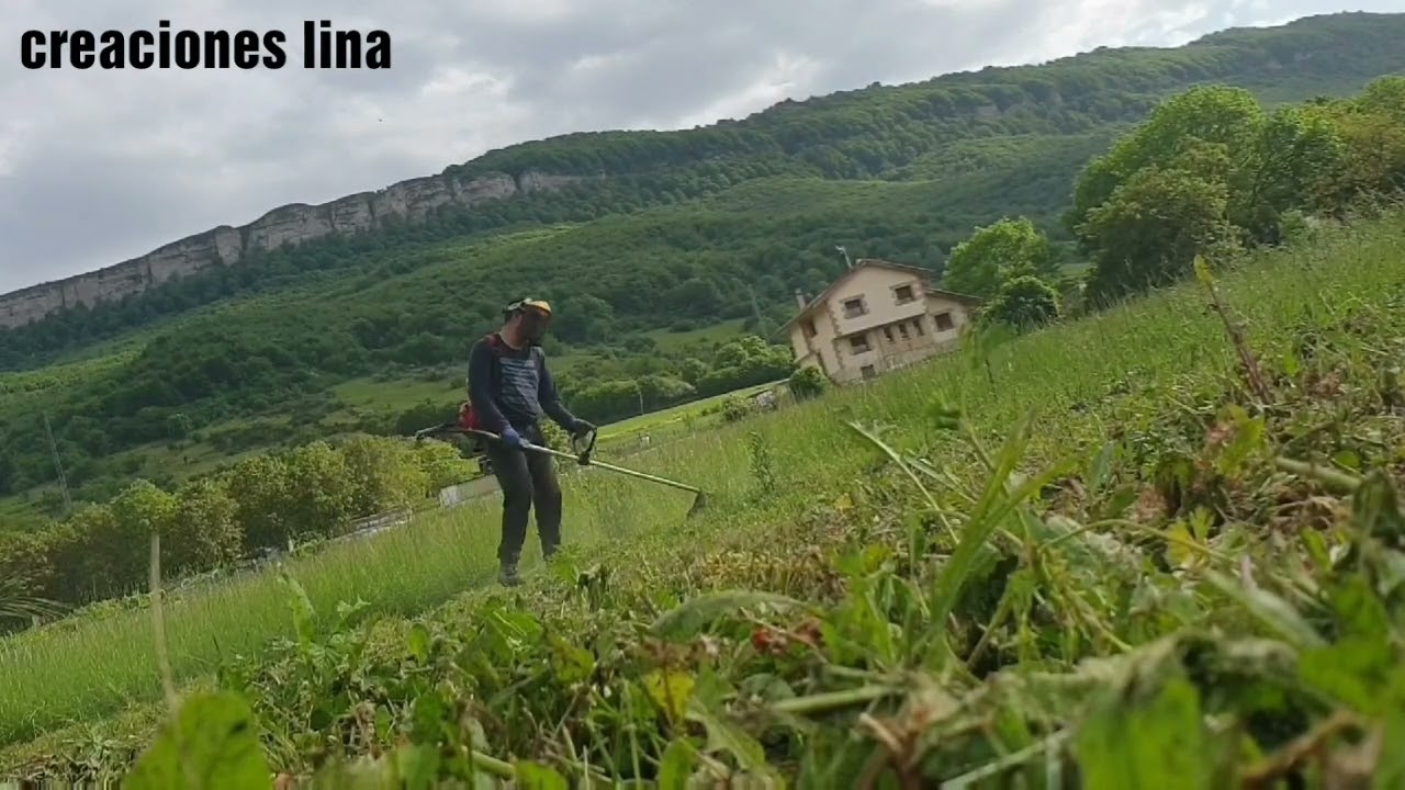 preparacion de tierra para sembrar (parte1)