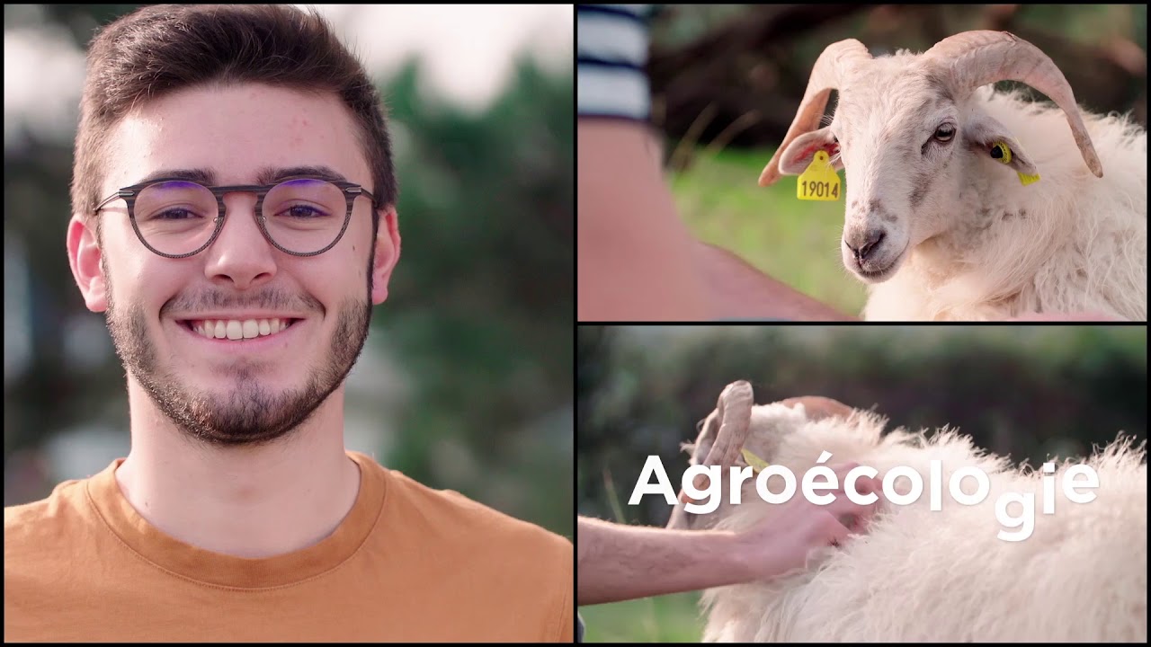 Choisir Bordeaux Sciences Agro, école supérieure des sciences agronomiques Nouvelle-Aquitaine