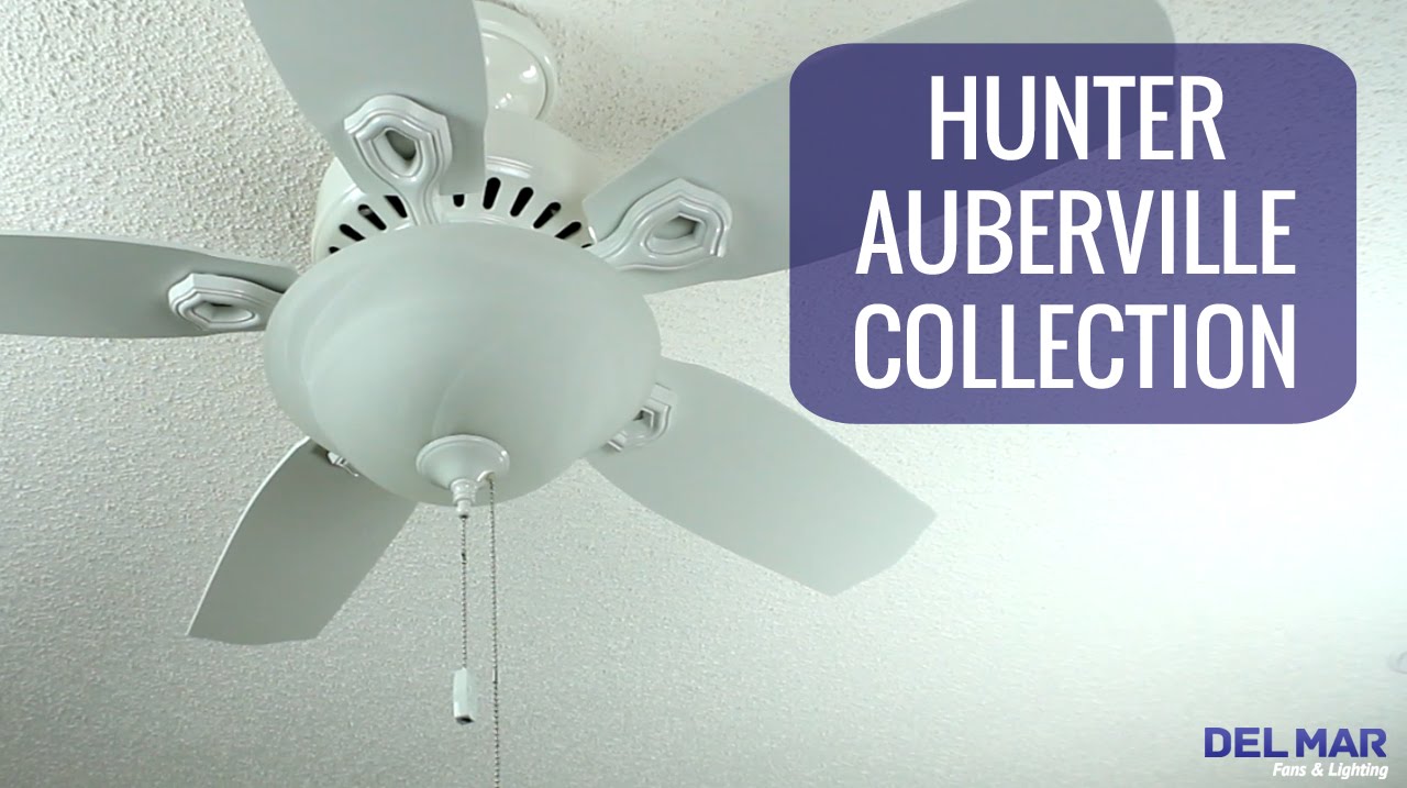 Hunter Auberville Ceiling Fan Collection