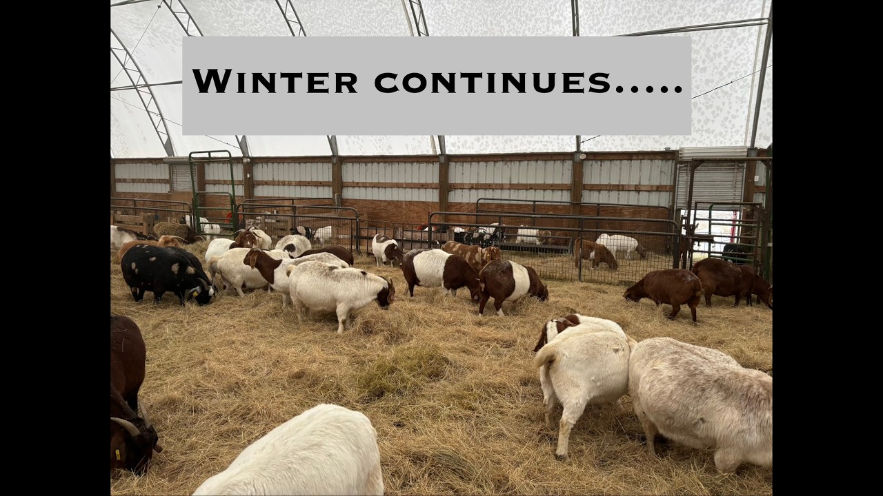 Winter continues...