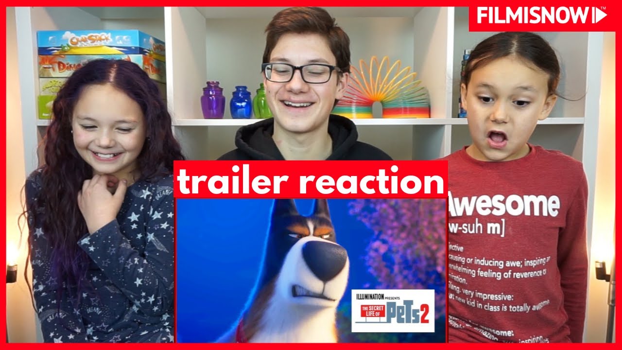 D-three KIDS React to SECRET LIFE OF PETS 2 