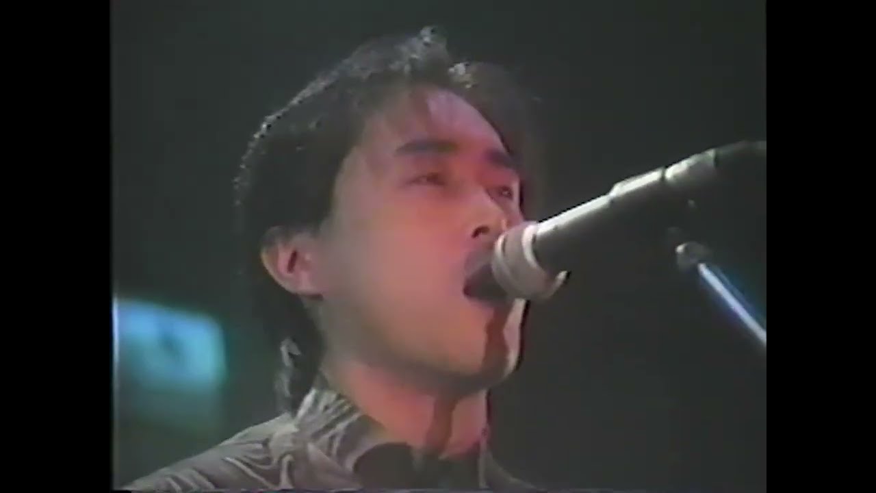 P-MODEL - カルカドル (Live)