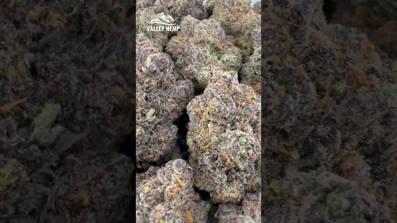 Cheetah Piss THCa Hemp Flower by Valley Hemp USA