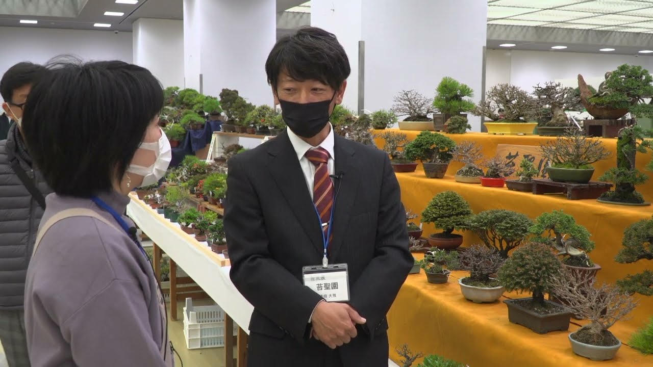 雅風展売店インタビュー　苔 聖 園　漆畑 大雅 氏