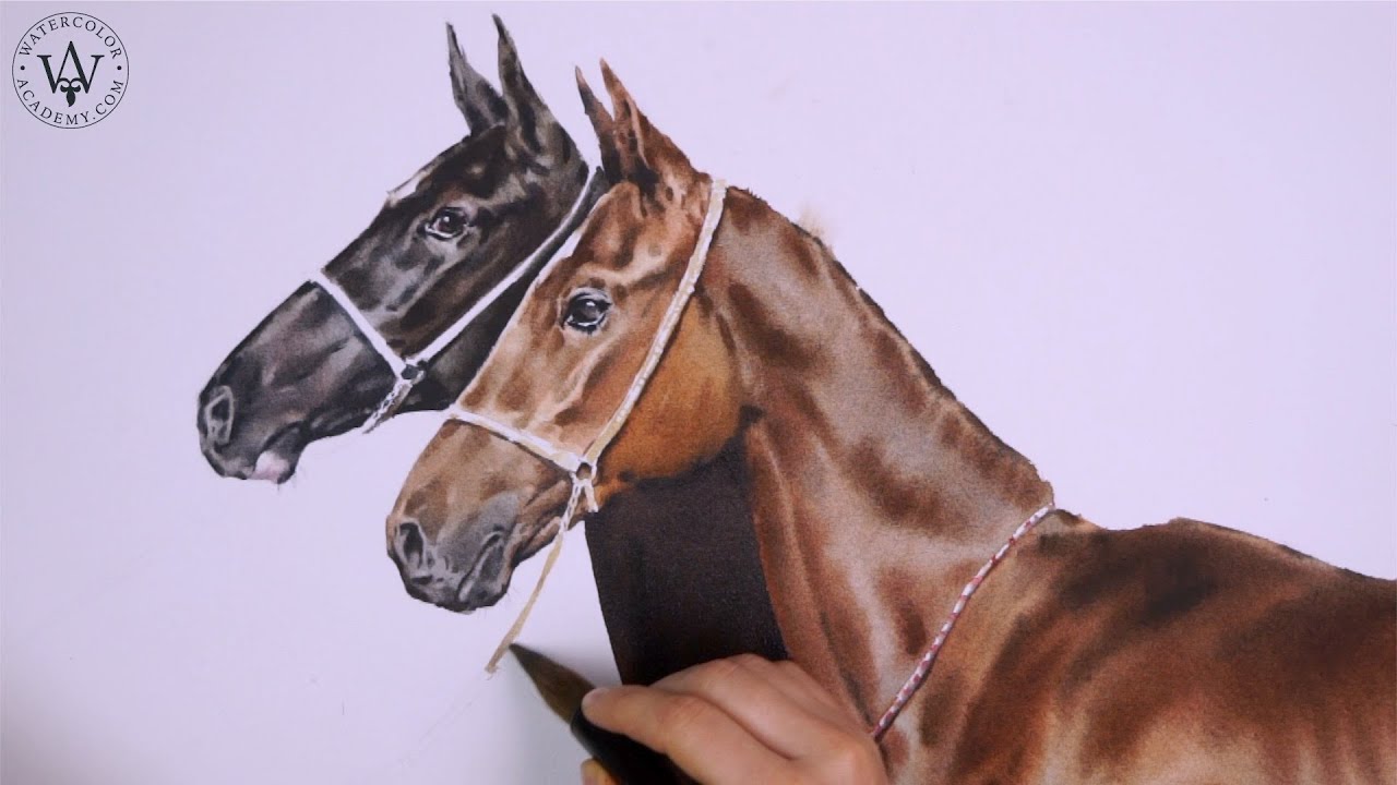 How to Paint Horses in Watercolor