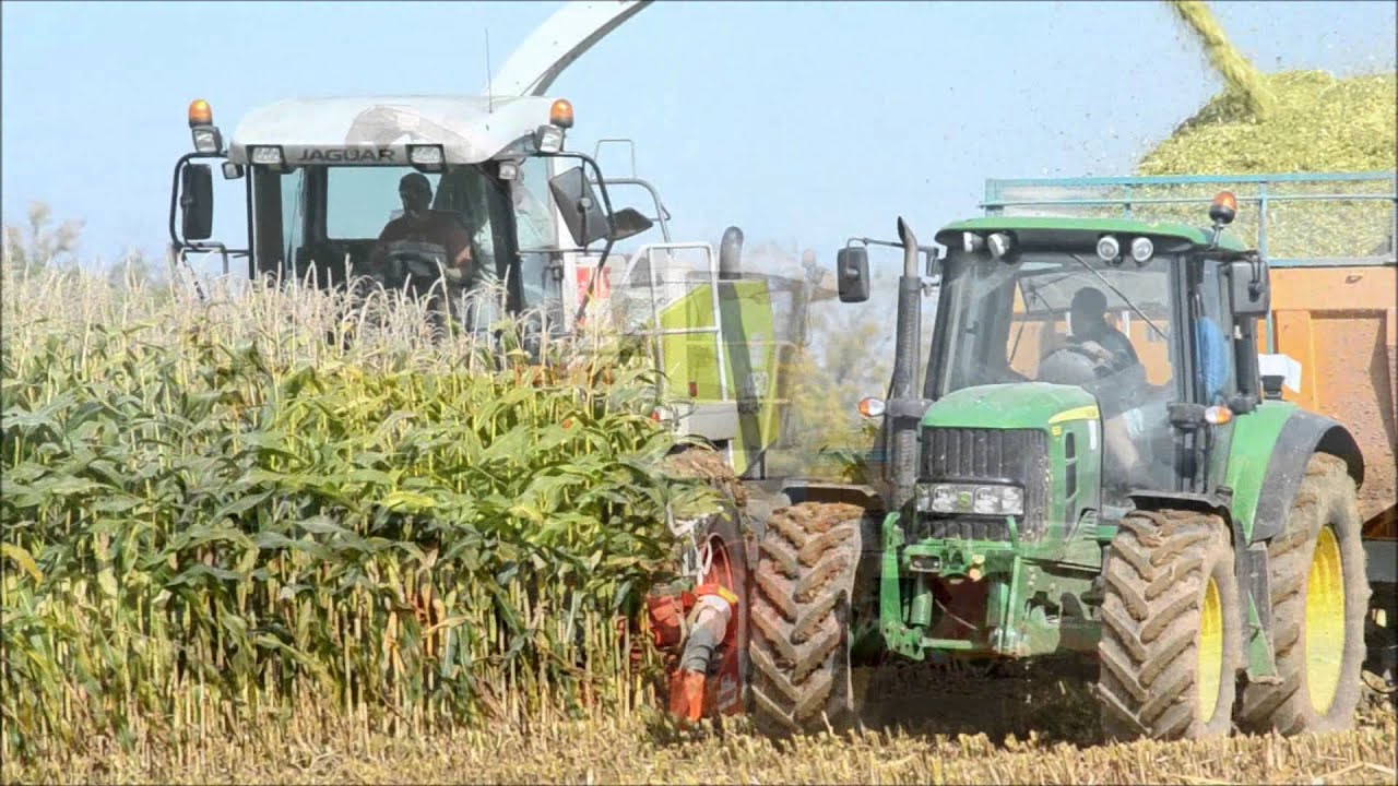 Claas Jaguar 830  ! Ensilage de Ma&iuml;s - Ma&iuml;sHakselen