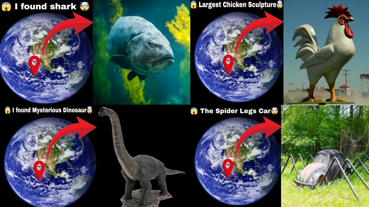 Top 5 World's Largest Snails On Google Maps 🤯😱 #ddgoogleearth #googlemaps #map  #mapping #mapapp