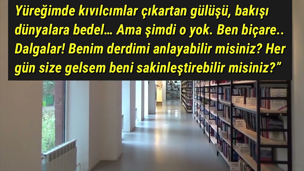 Turkish AudioBook - Turkish Novel - Far Love