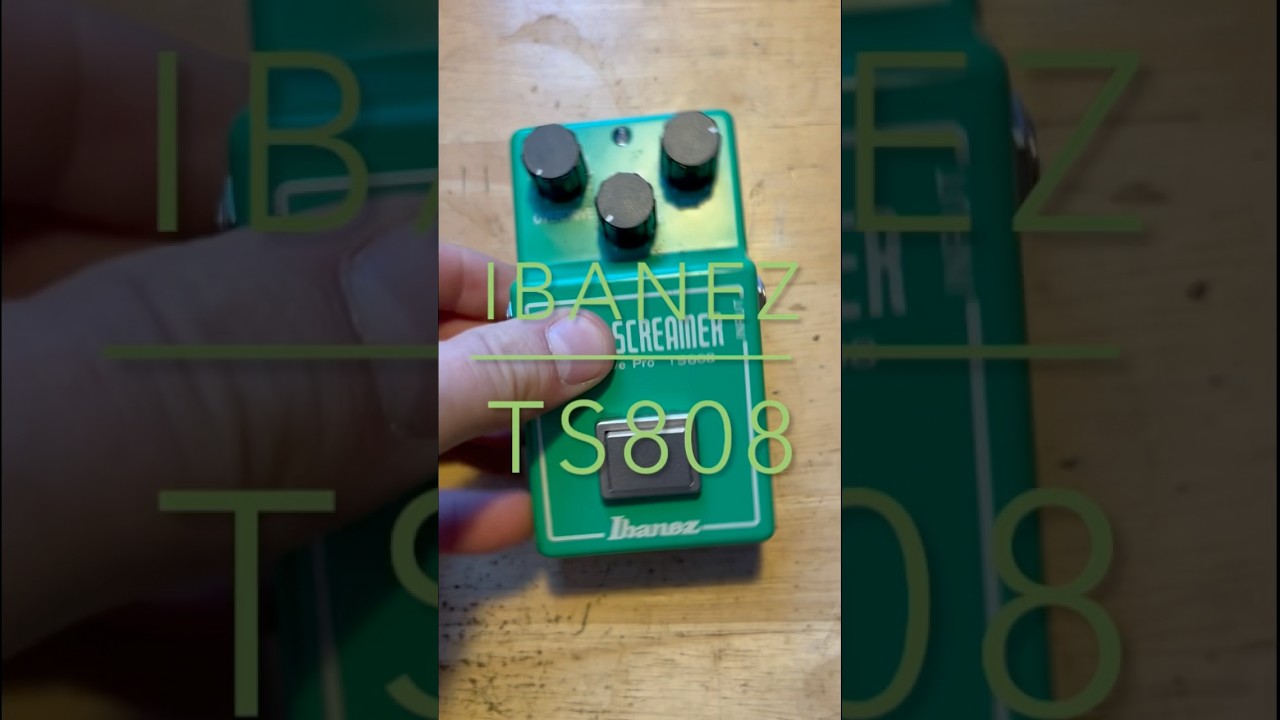TUBESCREAMER🔥DESIGN FLAW💀 #guitar #guitarist #guitarpedals #ibanez #ts808 #guitarcover #fender
