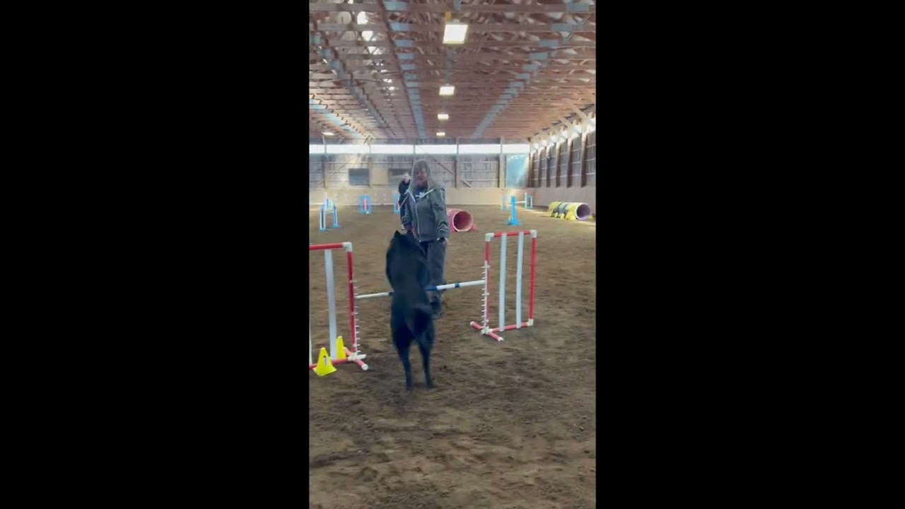 Switch Agility Seminar 2026